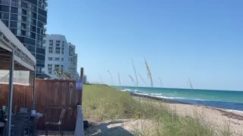 Shuckers by the Beach