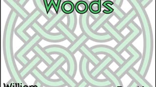 In the Seven Woods by William Butler YEATS read by Kasper _ Full Audio Book