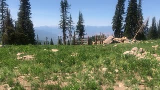 Mountain View above Wallsburg UT