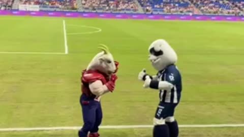 Concurso de baile Chivas vs Rayados