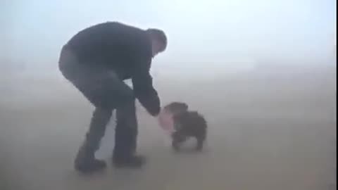 A bear cub rescued from a forest fire does not let go of its savior.🥰