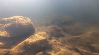 Underwater Footage