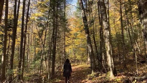 Lady walking through forest for getting calm mind