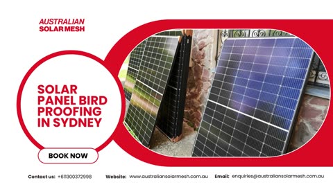 Enhance Your Solar Experience: Solar Panel Bird Proofing in Sydney