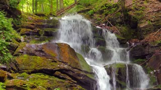 Ambient Spring Waterfall