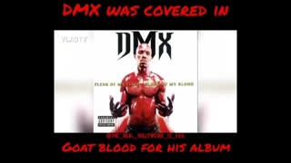 DMX covered himself in GOAT BLOOD