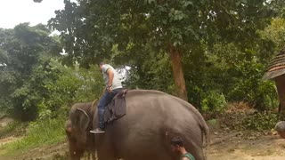 Riding An Old Elephant First Time In Sri Lanka
