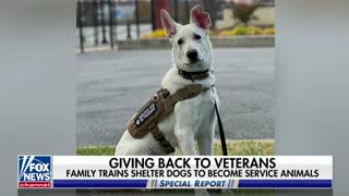 Military family trains rescued dogs to be service animals for veterans