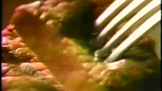 January 1985 - Sizzler Steakhouse Commercial