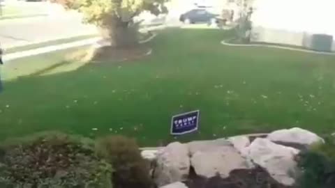 Trump yard sign zaps TDS neighbor