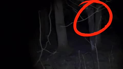 This is WHY YOU DONT GO TO THE WOODS at night.
