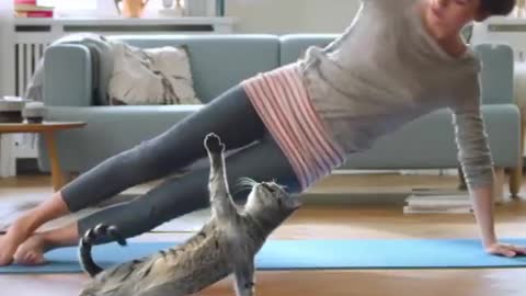 Cat yoga 🤣