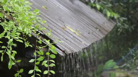 Rain hitting the roof (1 hour)