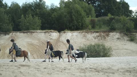 A trip with a black horse and a terrifying guard dog