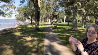 The lonely Pines Fairhope Alabama