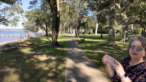 The lonely Pines Fairhope Alabama