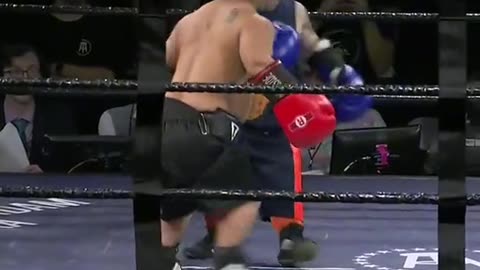 Brutal Midget Boxing Match