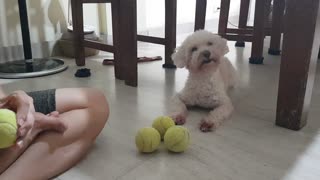 The tennis balls mine!!!