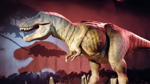Tyrannosauras Rex aka T-Rex at the Natural History Museum (London, England)