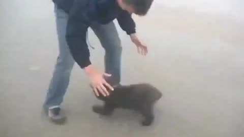 Reaction Of Bear Cub After Man Saves It From Fire