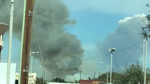 Sugar Cane harvest in South Texas!