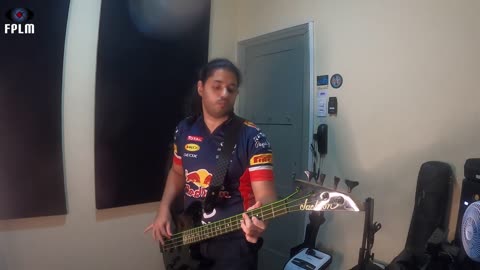 Linkin Park - In The End (Bass Cover)