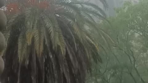 Lluvia en Pocitos, Montevideo