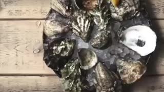 Oysters - Taylor Shellfish Farms