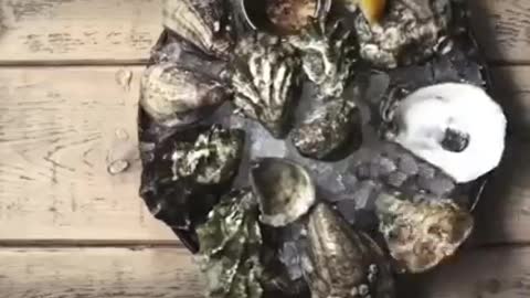 Oysters - Taylor Shellfish Farms