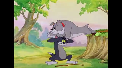 Kids tom_____and___jerry