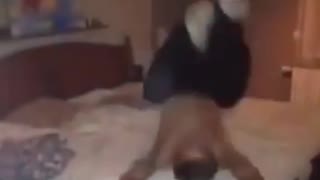 Guy tries to do a sexy dance on the bed but hurts his back and scorpions