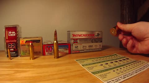 Ammo brands matter! Here are my favorite.
