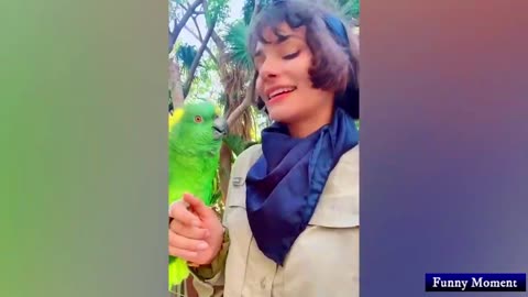 BEAUTIFULL PARROT IN GIRL HAND.