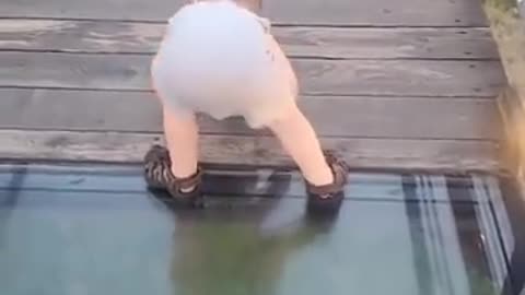 Toddler Attempts to cross... Onto Glass bridge 🌉