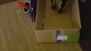 This is Chuie's box