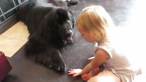 Toddler and dog play Patty Cake