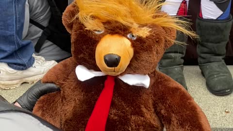 Trumpy Bear at Capitol