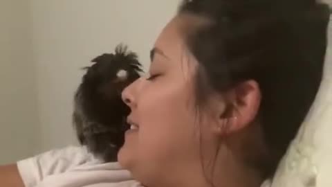 Person Opens Mouth for Monkey