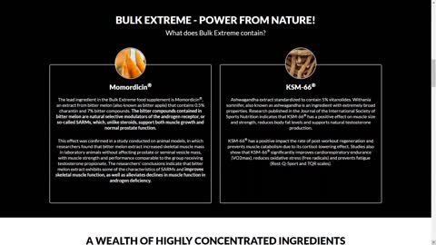 BULK EXTREME Works? Reviewing BULK EXTREME