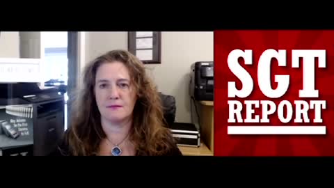 (SGT REPORT) D'S PANIC & CRIMINAL COVERUP: AZ FORENSIC AUDIT -- LIZ HARRIS.