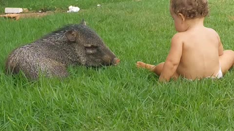 A Kiddo and Piglet's Day Out