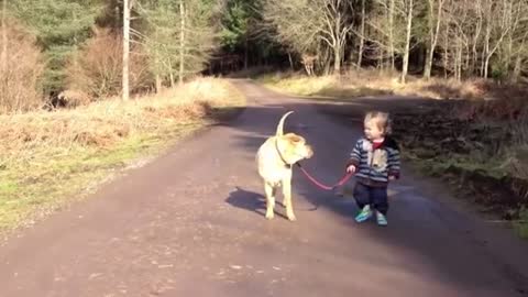 Best Friends - a kid, a dog and a puddle i am dog lover