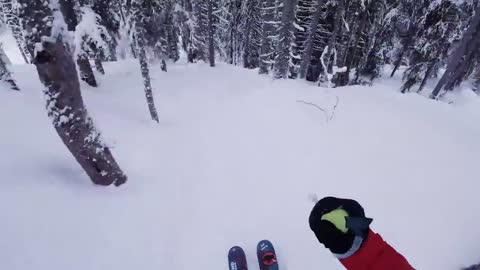 Daredevil Shares POV Footage Of Him Fearlessly Skiing Through Forest