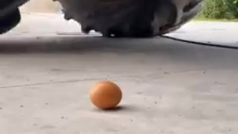 🔥Egg Vs tractor 🔥:-what will happen???