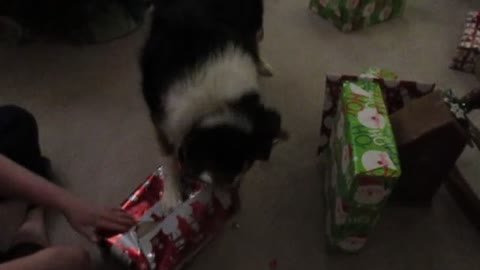 Roxy opening up a gift