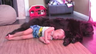 Toddler and dog share nap time