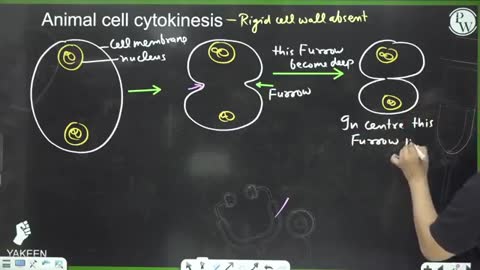 Cell Cycle and Cell Division Lec 02