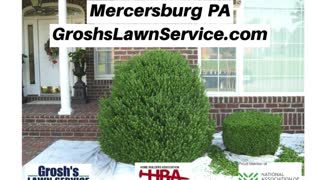 Shrub Trimming Mercersburg PA Landscape Contractor