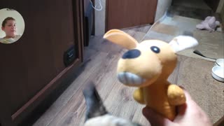 Oscar's Toy "Glizzy" the Stuffed Weiner Dog