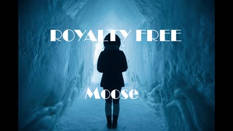 MOOSE music featuring synths riffs with pumping side-chain effects | ROYALTY FREE MUSIC